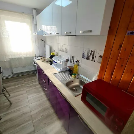 Apartament 2 Camere Etaj 4 Din 4 Craiova Exterior foto